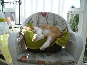 Leonado bei Mama 1.JPG