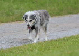 Juni 2013 Ayla 003.JPG