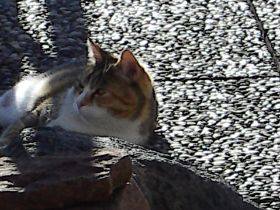 mona-lisa 08 (1).jpg